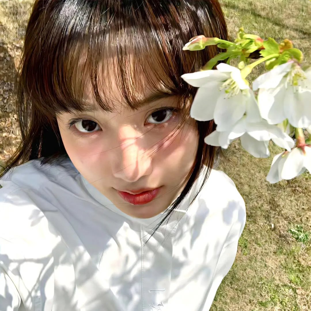 福星高照猪八戒